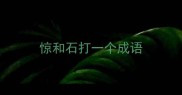 惊和石打一个成语