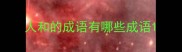 人和的成语有哪些成语