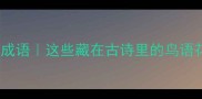 黄鹂鸟的10个经典成语这些藏在古诗里的鸟语花香你都会了吗
