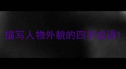 描写人物外貌的四字成语