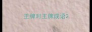 王牌对王牌成语