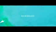 树大根深的成语