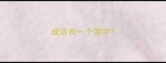 成语有一个家字