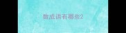 数成语有哪些