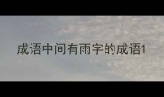 成语中间有雨字的成语