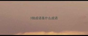 3独成语是什么成语