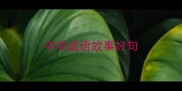 中华成语故事好句