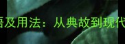 第二个是者的成语及用法从典故到现代场景的深度解读