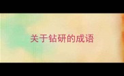 关于钻研的成语
