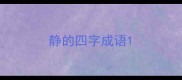 静的四字成语