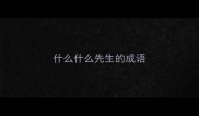 什么什么先生的成语