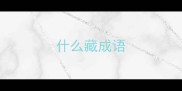 什么藏成语