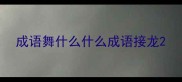 成语舞什么什么成语接龙