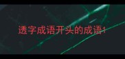 透字成语开头的成语