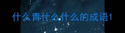 什么青什么什么的成语