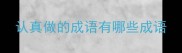 认真做的成语有哪些成语