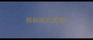 猴和桃的成语