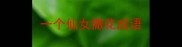 一个仙女撒花成语