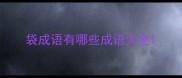 袋成语有哪些成语大全