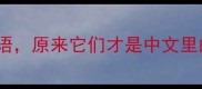 10个和鸡鸟相关的趣味成语原来它们才是中文里的鸟类顶流速存避坑指南