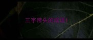 三字带头的成语