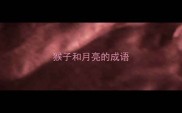 猴子和月亮的成语