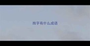抱字有什么成语