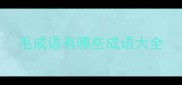 毛成语有哪些成语大全