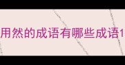 用然的成语有哪些成语