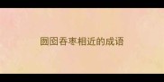 囫囵吞枣相近的成语