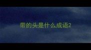 带的头是什么成语