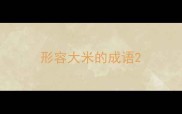 形容大米的成语