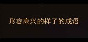 形容高兴的样子的成语