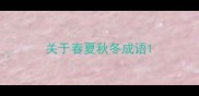 关于春夏秋冬成语