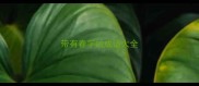 带有春字的成语大全