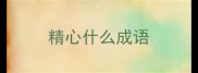 精心什么成语