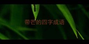 带芒的四字成语