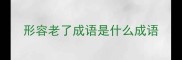 形容老了成语是什么成语