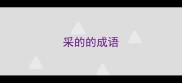 采的的成语