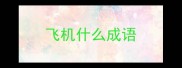 飞机什么成语