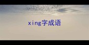 xing字成语