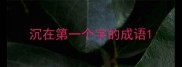 沉在第一个字的成语