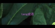 tang成语