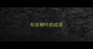 形容柳叶的成语