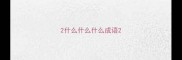 2什么什么什么成语