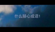 什么肠心成语