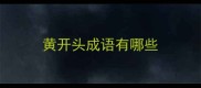黄开头成语有哪些