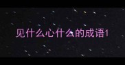 见什么心什么的成语