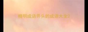 精明成语开头的成语大全