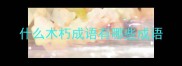 什么木朽成语有哪些成语